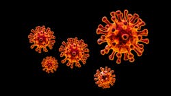 Adobe Stock 331554686 62a89dc32460d Adobe Stock 331554686 62a89dc32460d