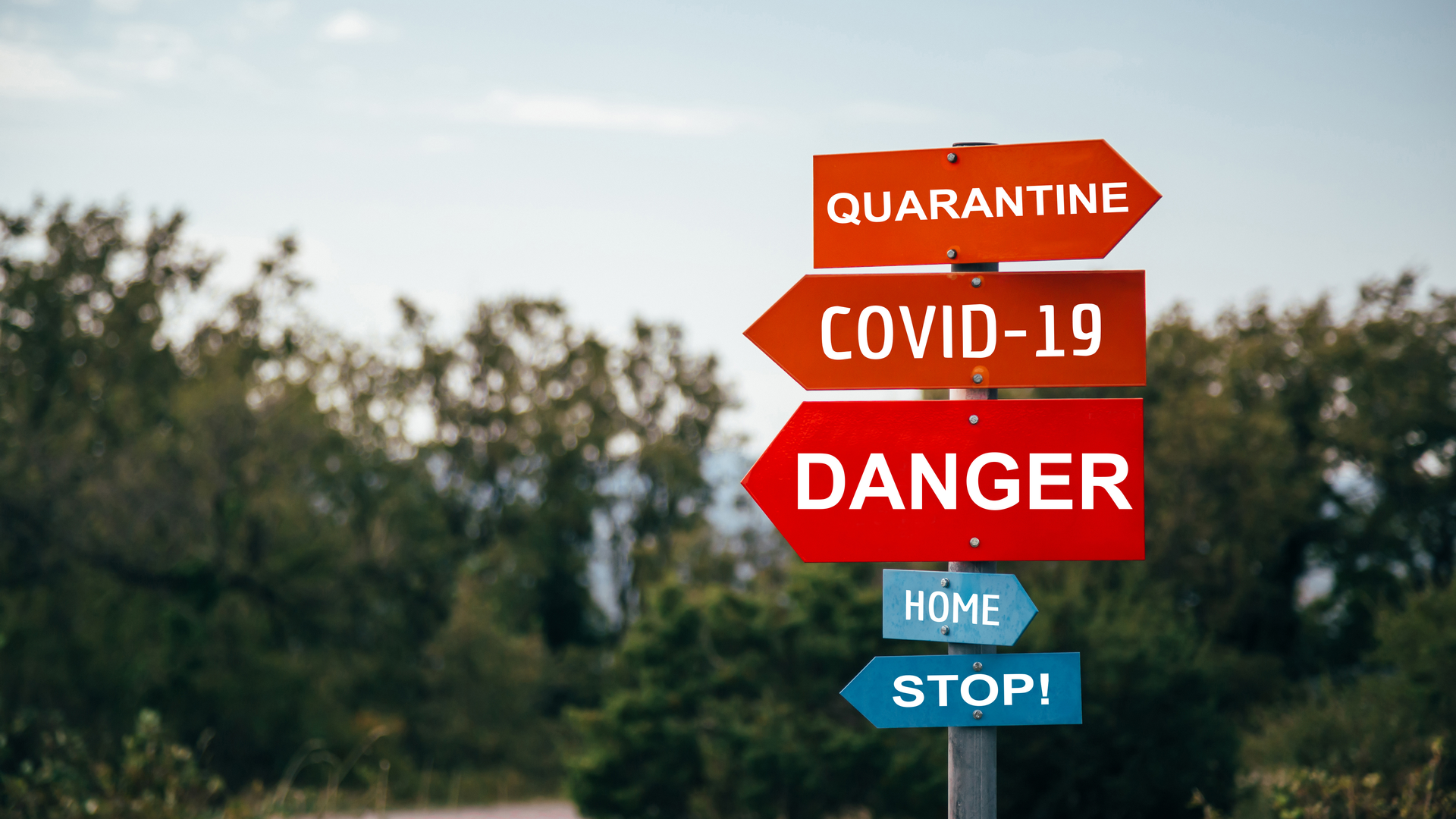 Adobe Stock 341027279 1 62ab4f1fb4670