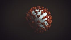 Adobe Stock 375616451 62a9f82a38bbe Adobe Stock 375616451 62a9f82a38bbe