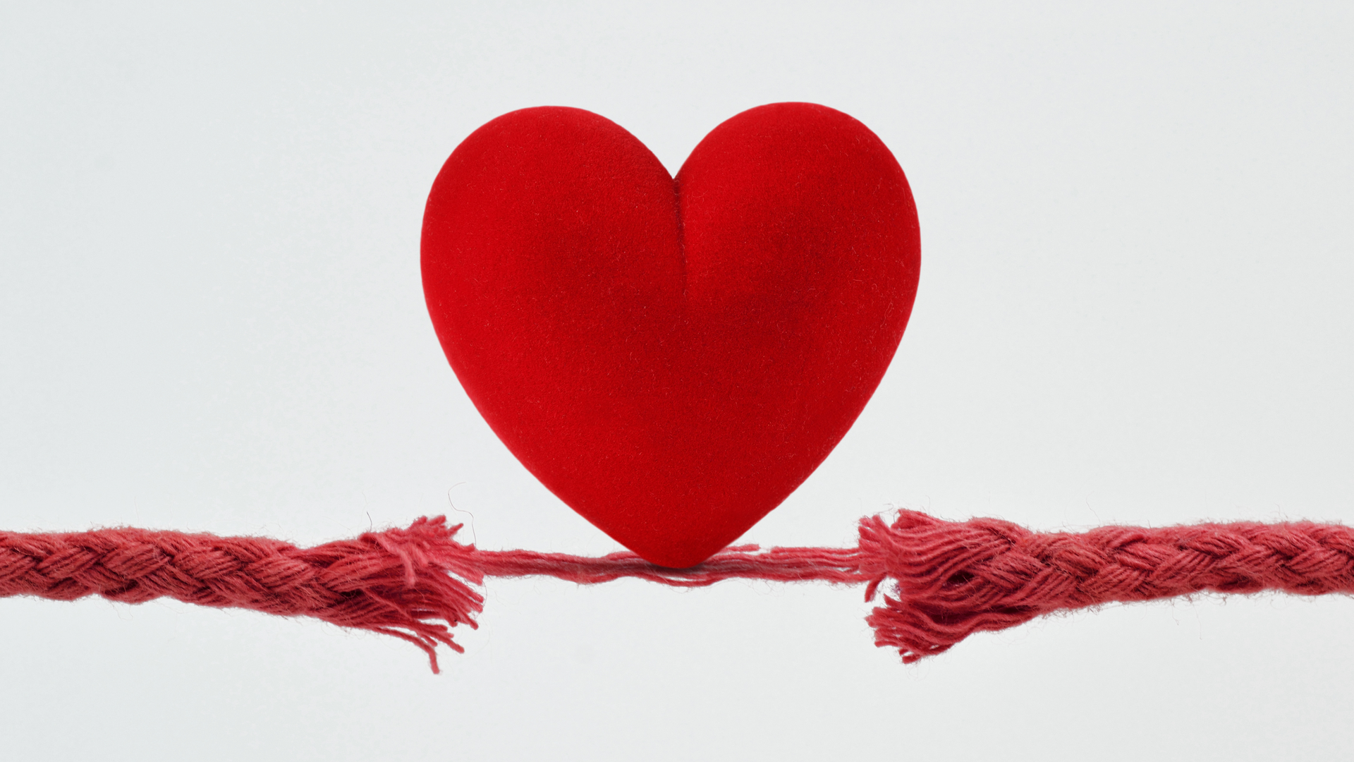 Adobe Stock 382622285 62b9cfbf60a86