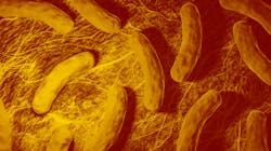 Adobe Stock 403683705 62b5dd02aee74 Adobe Stock 403683705 62b5dd02aee74