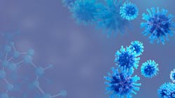 Adobe Stock 442538149 62b9cc9bec10f Adobe Stock 442538149 62b9cc9bec10f