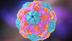 Adobe Stock 109516653 62d18e7f95e0c Adobe Stock 109516653 62d18e7f95e0c