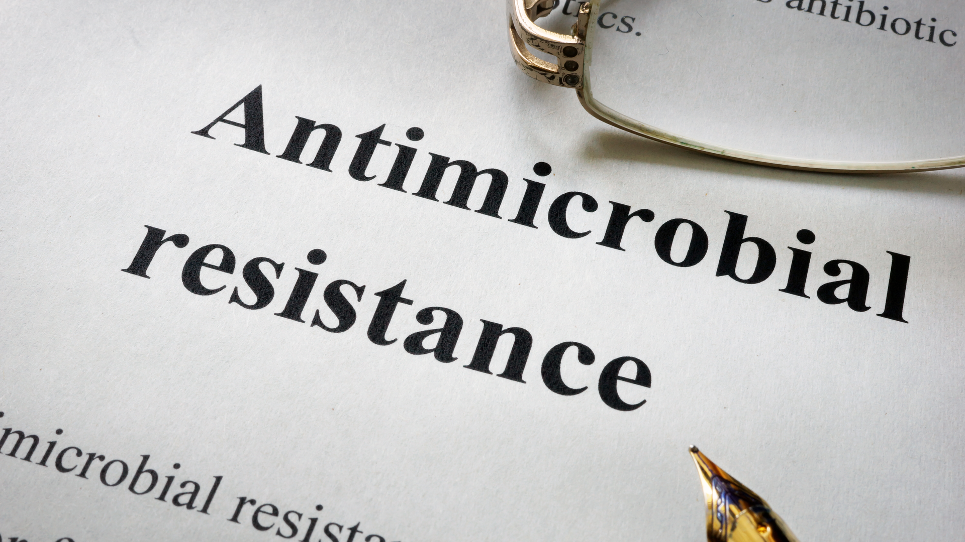 Adobe Stock 126570978 62cee22829fe2