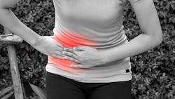 Adobe Stock 168211059 62c701f1eeeed Adobe Stock 168211059 62c701f1eeeed