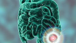 Adobe Stock 192284014 62dff7b2000ae Adobe Stock 192284014 62dff7b2000ae