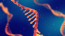 Adobe Stock 221145581 62d5807994726 Adobe Stock 221145581 62d5807994726