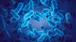 Adobe Stock 244601083 62cee45a585c8 Adobe Stock 244601083 62cee45a585c8