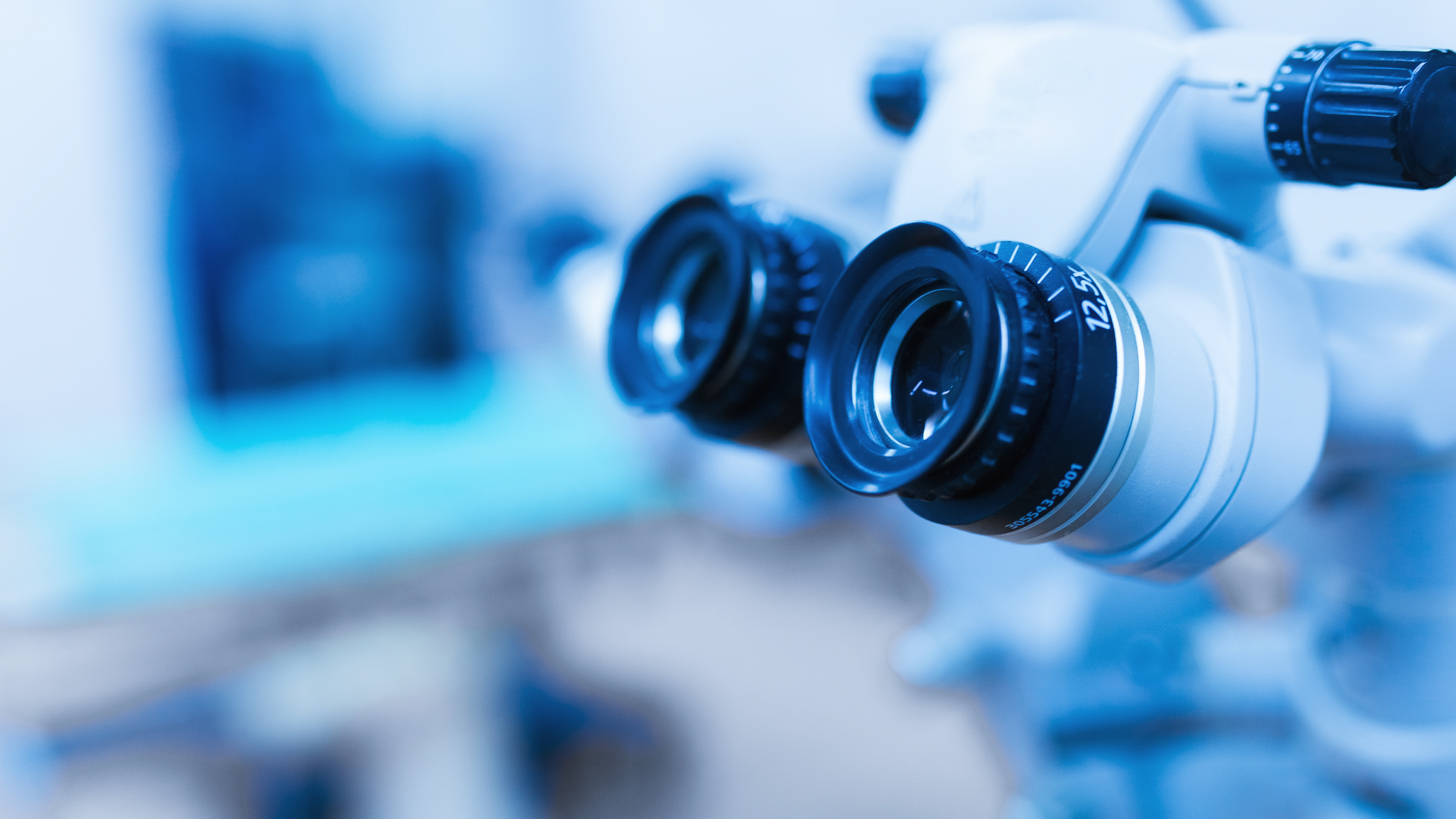 Adobe Stock 245083762 62e198269ece1