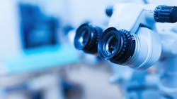 Adobe Stock 245083762 62e198269ece1 Adobe Stock 245083762 62e198269ece1