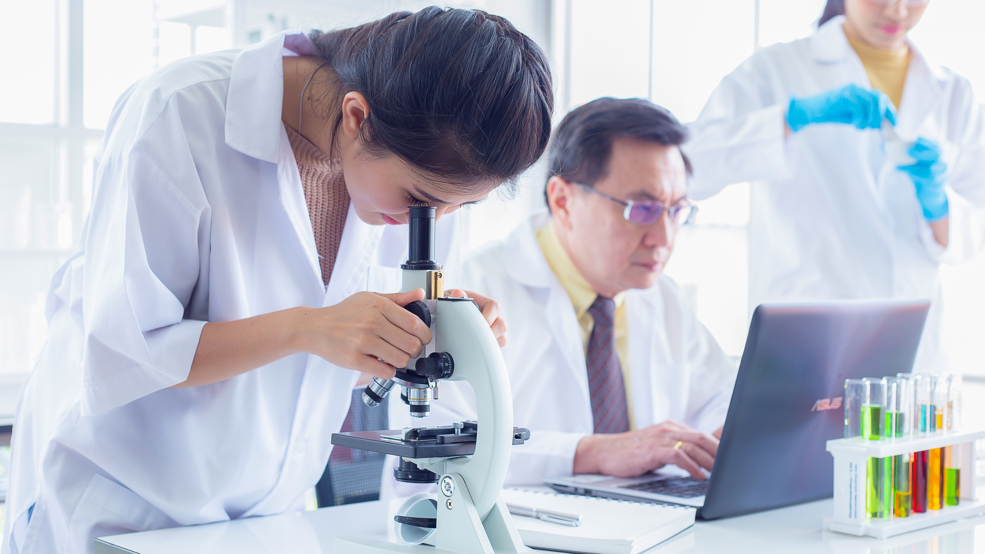 Adobe Stock 248281047 62cd95cc331a4