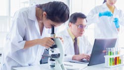 Adobe Stock 248281047 62cd95cc331a4 Adobe Stock 248281047 62cd95cc331a4