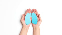 Adobe Stock 254315872 62d022c351cce Adobe Stock 254315872 62d022c351cce