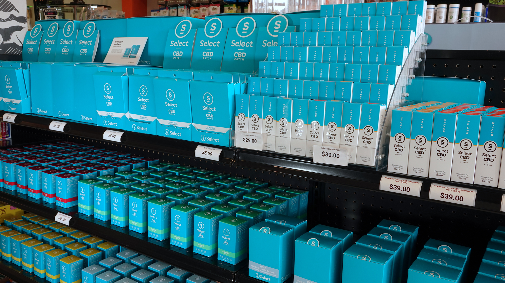 Adobe Stock 305521153 Editorial Use Only