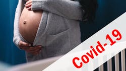 Adobe Stock 332259494 62c46864820d7 Adobe Stock 332259494 62c46864820d7