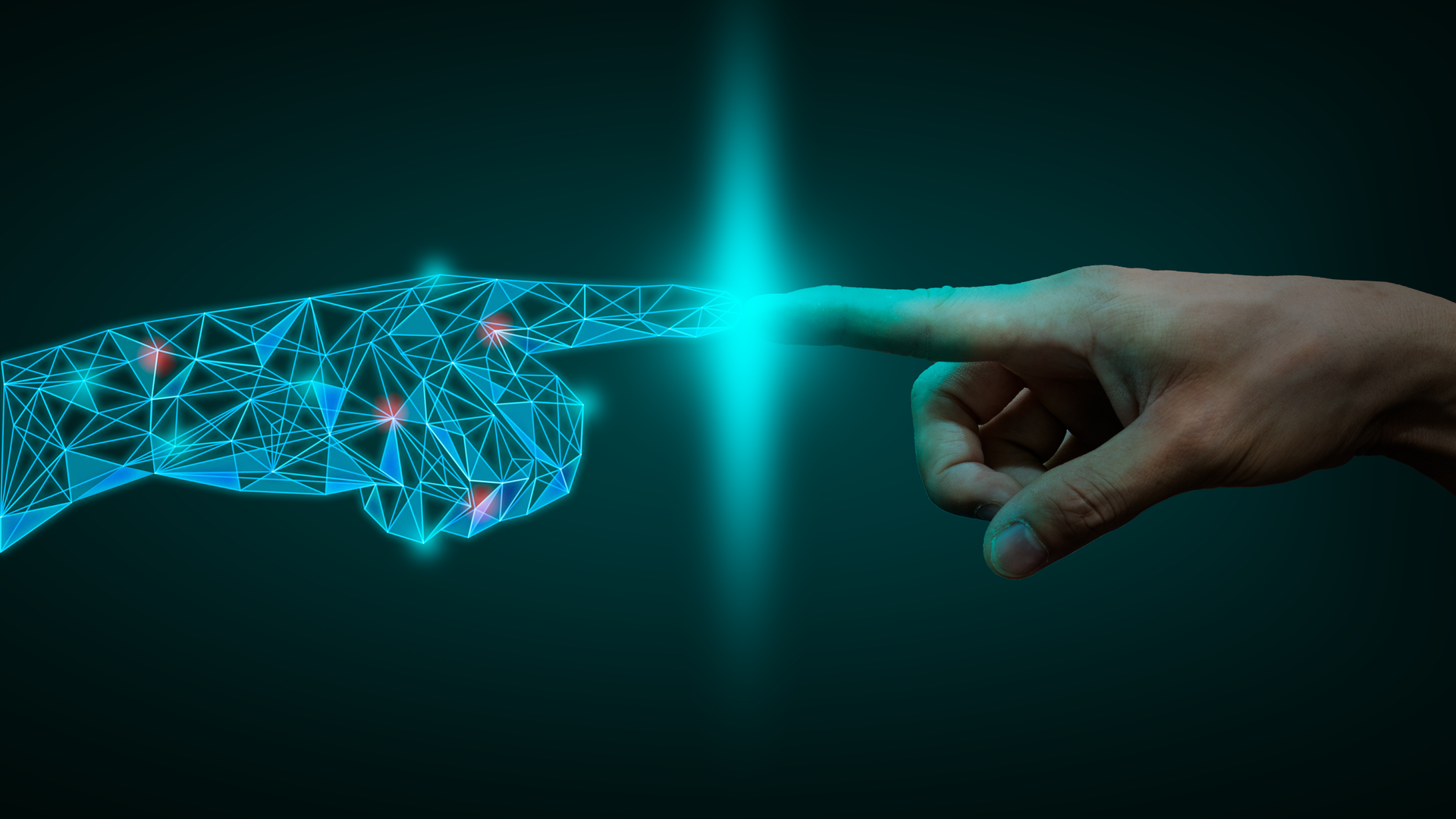 Adobe Stock 339503989 62ceeb6cebe5c