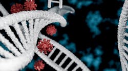 Adobe Stock 395559321 62d193bf80a53 Adobe Stock 395559321 62d193bf80a53