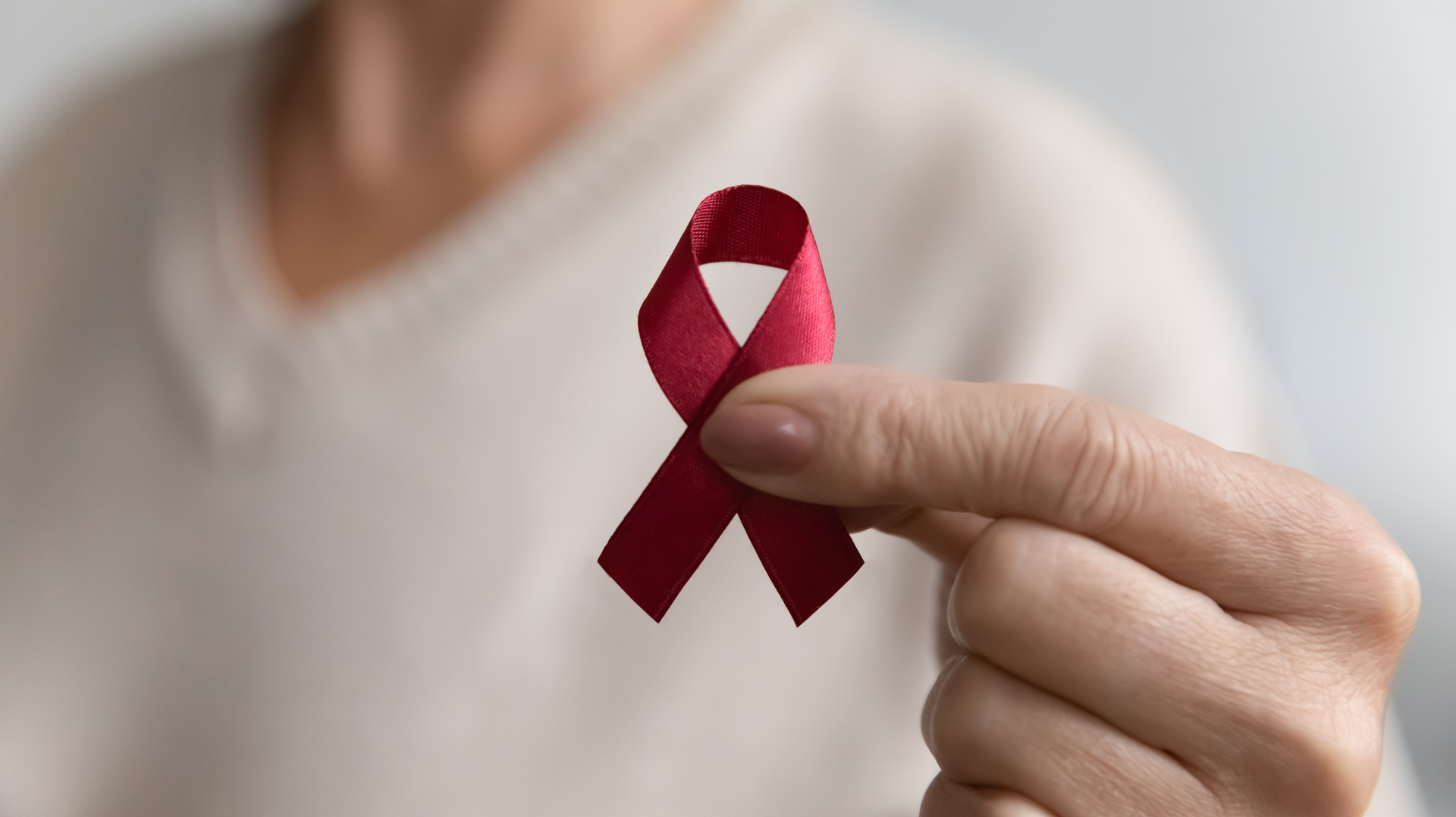 Adobe Stock 425208305 62c4629c3b073