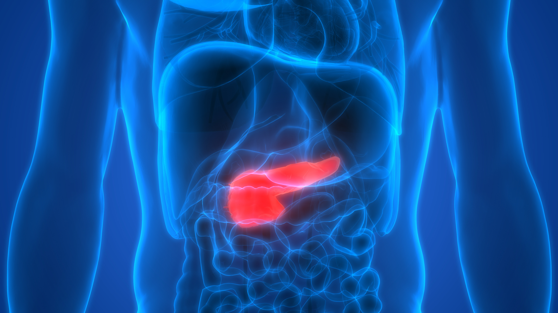 Adobe Stock 181431116 6304eb09118fa