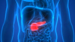 Adobe Stock 181431116 6304eb09118fa Adobe Stock 181431116 6304eb09118fa