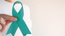 Adobe Stock 259322677 63063a65a2559 Adobe Stock 259322677 63063a65a2559