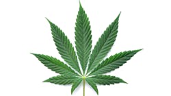 Adobe Stock 269892329 6304ec1214388 Adobe Stock 269892329 6304ec1214388