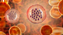 Adobe Stock 292114095 62ebeb202cb36 Adobe Stock 292114095 62ebeb202cb36