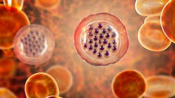 Adobe Stock 292114095 62ebeb202cb36 Adobe Stock 292114095 62ebeb202cb36