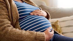 Adobe Stock 317775030 62fe43abb4272 Adobe Stock 317775030 62fe43abb4272