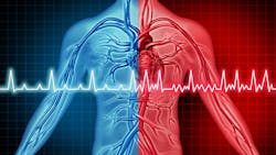 Adobe Stock 323776167 62f50e9776fad Adobe Stock 323776167 62f50e9776fad