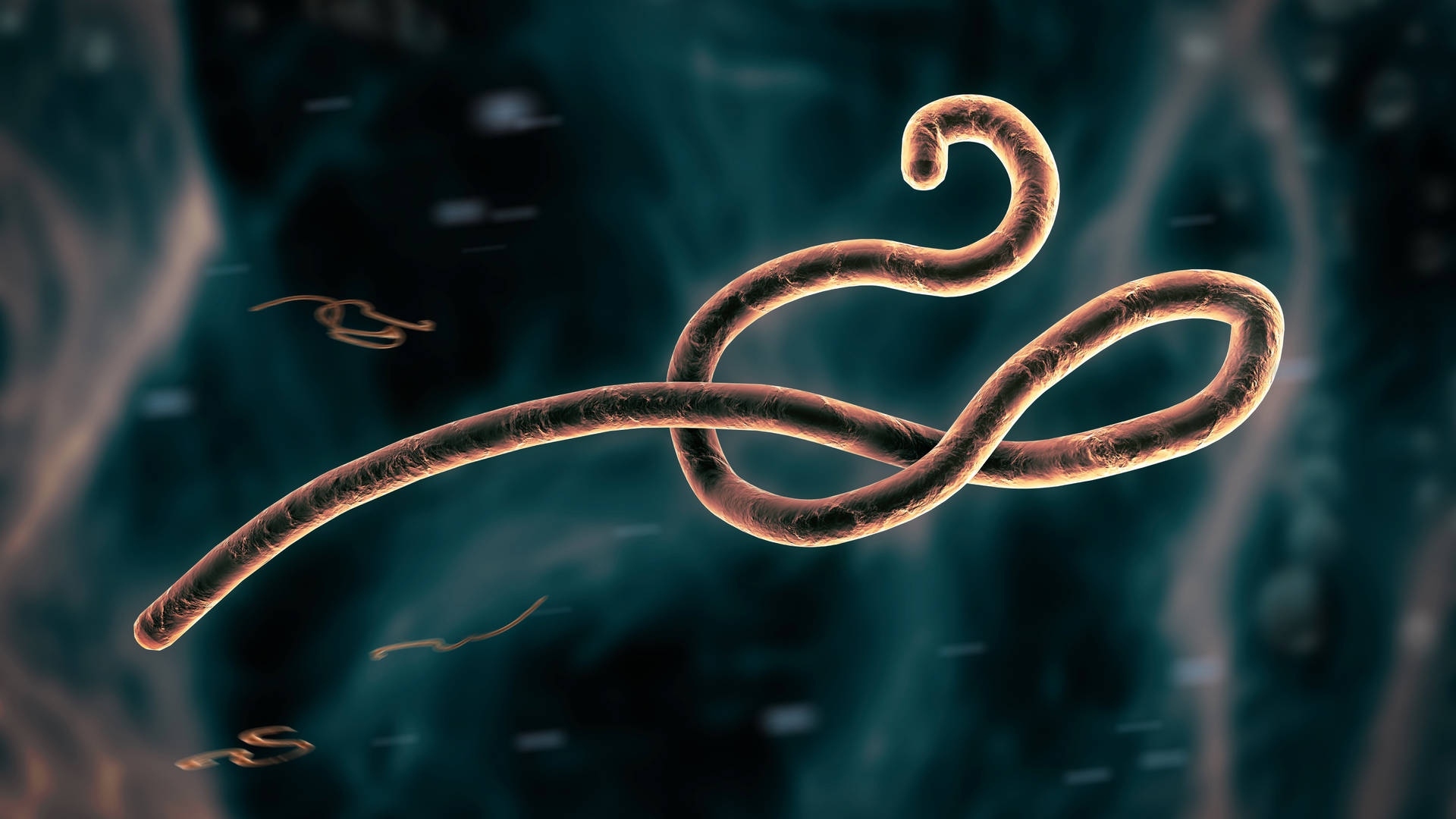 Adobe Stock 323887739 630395720889f