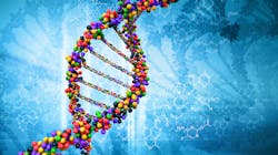 Adobe Stock 32859465 62f28716538ef Adobe Stock 32859465 62f28716538ef