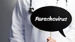 Adobe Stock 354432079 62fe4bbc4dc98 Adobe Stock 354432079 62fe4bbc4dc98