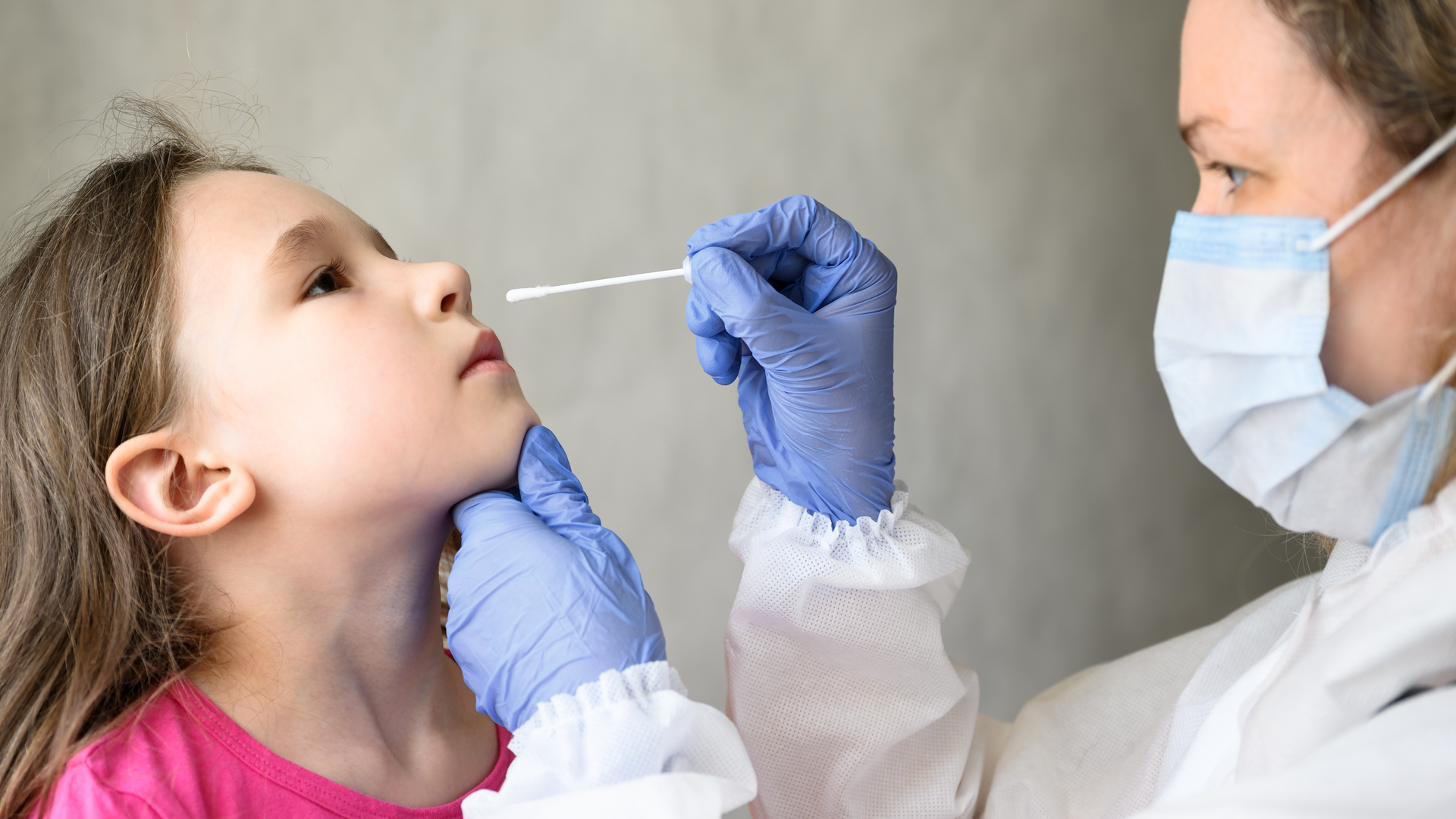 Adobe Stock 431224639 630cca7e5755c