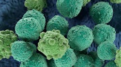 Adobe Stock 447637477 62f16893d95f4 Adobe Stock 447637477 62f16893d95f4