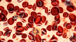 Adobe Stock 466427067 62f1679bc390b Adobe Stock 466427067 62f1679bc390b