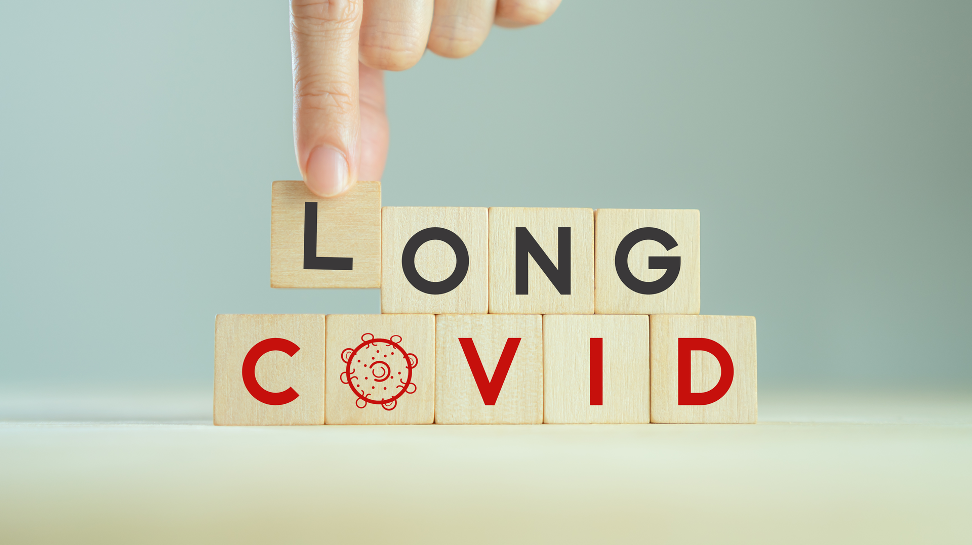 Adobe Stock 493723644 62ebec5585ca3