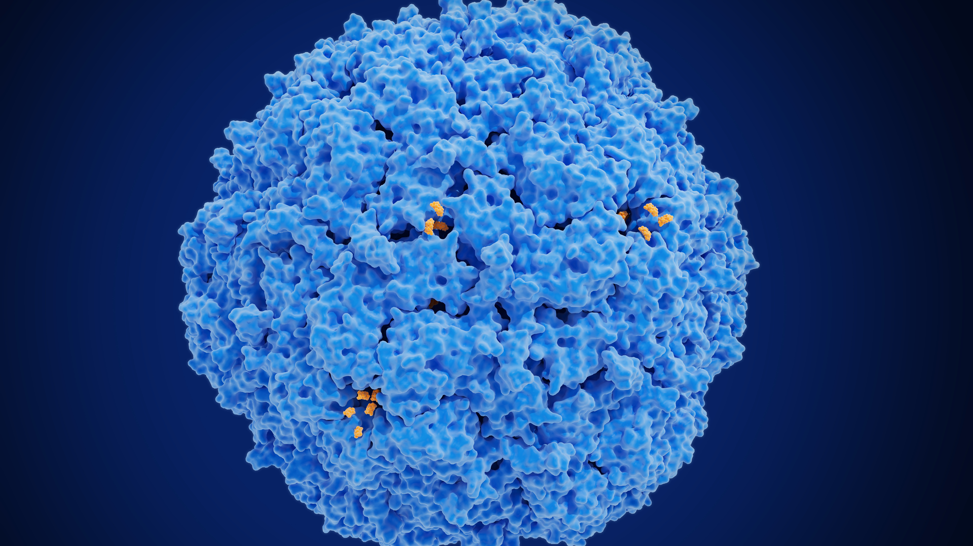 Adobe Stock 499845532 1 62fa6cc3d2c2e