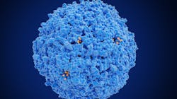 Adobe Stock 499845532 1 62fa6cc3d2c2e Adobe Stock 499845532 1 62fa6cc3d2c2e