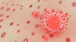 Adobe Stock 506274280 62f66c198dea5 Adobe Stock 506274280 62f66c198dea5