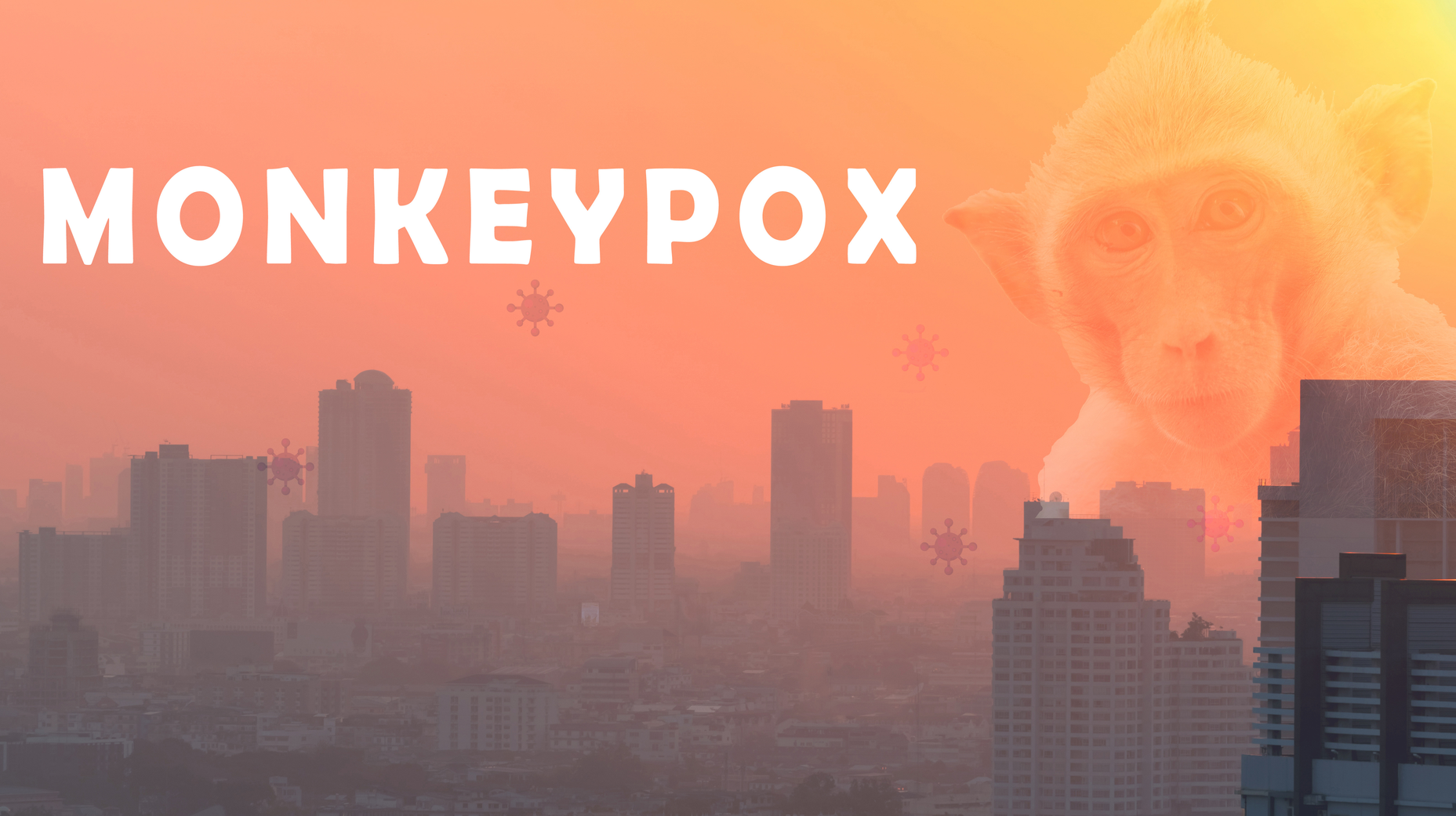 Adobe Stock 517899374 6308de90f259a