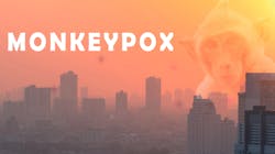 Adobe Stock 517899374 6308de90f259a Adobe Stock 517899374 6308de90f259a