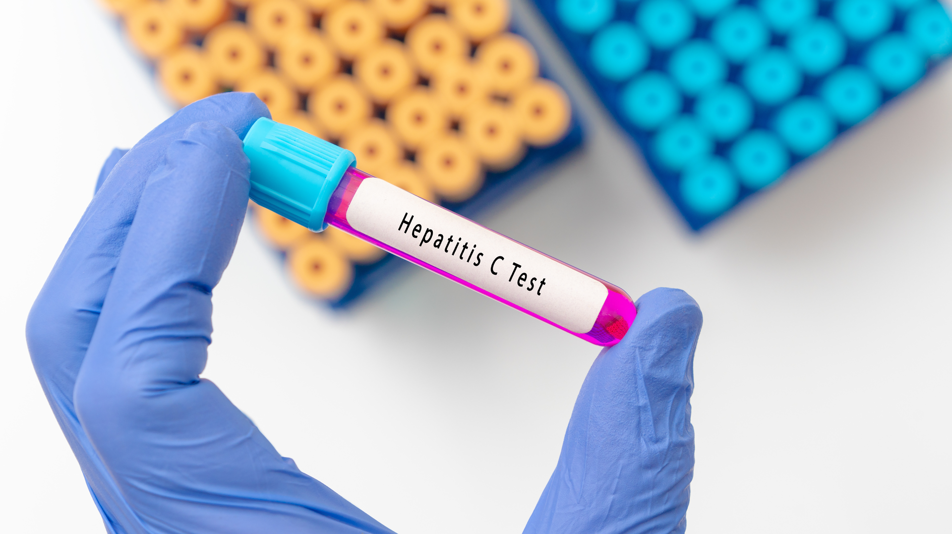 Adobe Stock 517909239 62f3e27dc7ec6