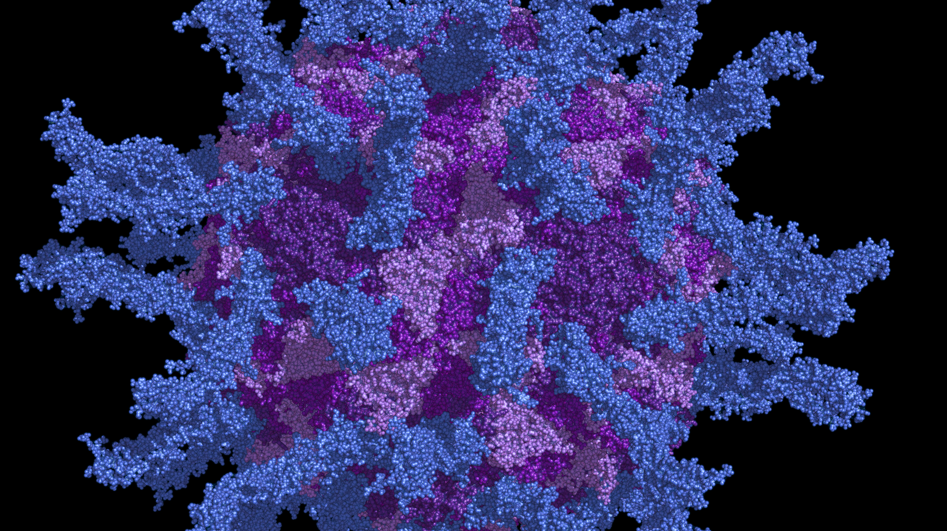 Adobe Stock 212867777 63234123ecc24