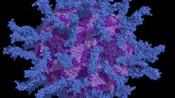 Adobe Stock 212867777 63234123ecc24 Adobe Stock 212867777 63234123ecc24