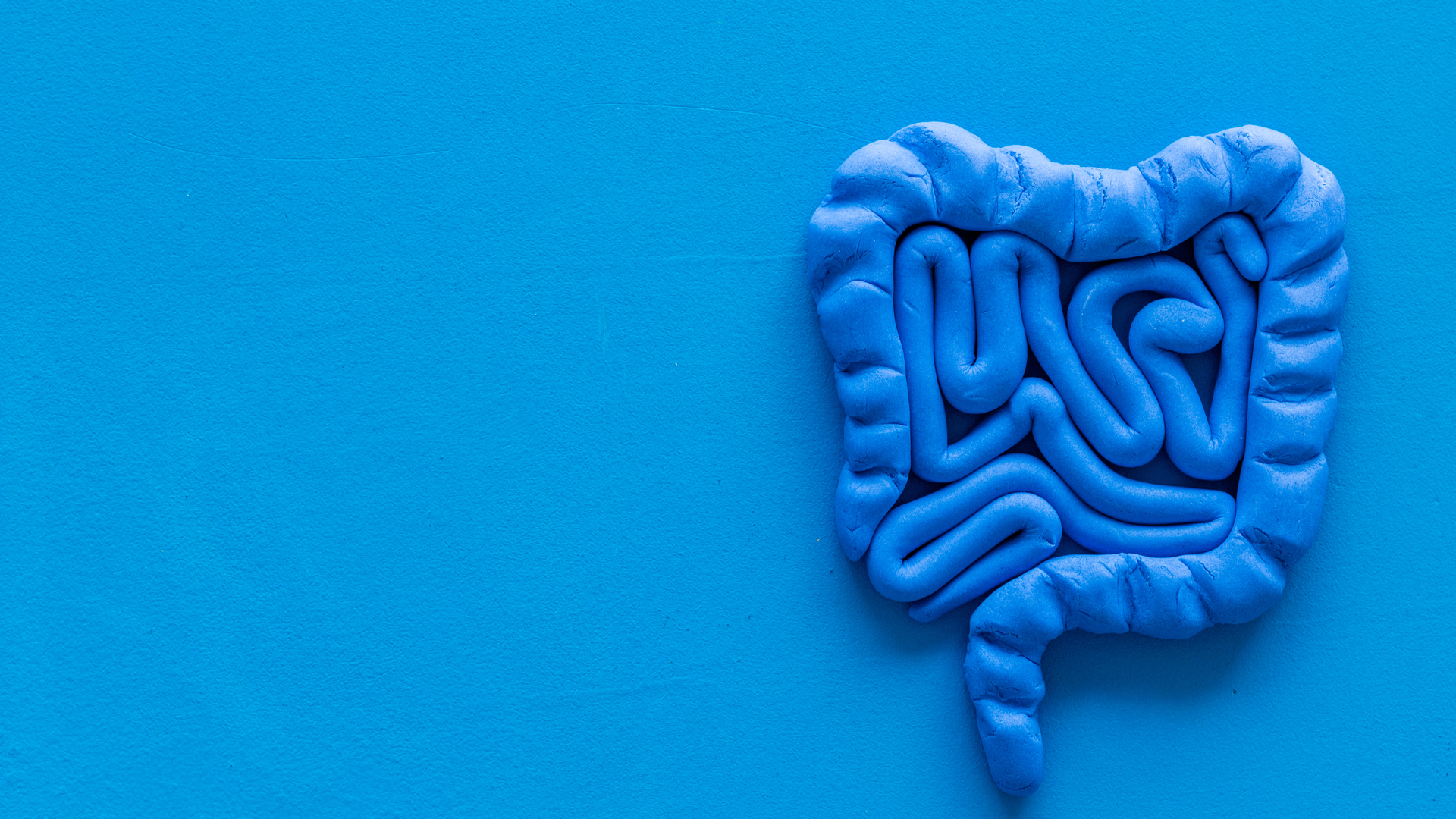 Adobe Stock 297485981 6312205cc80d3