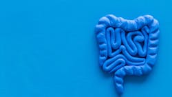 Adobe Stock 297485981 6312205cc80d3 Adobe Stock 297485981 6312205cc80d3