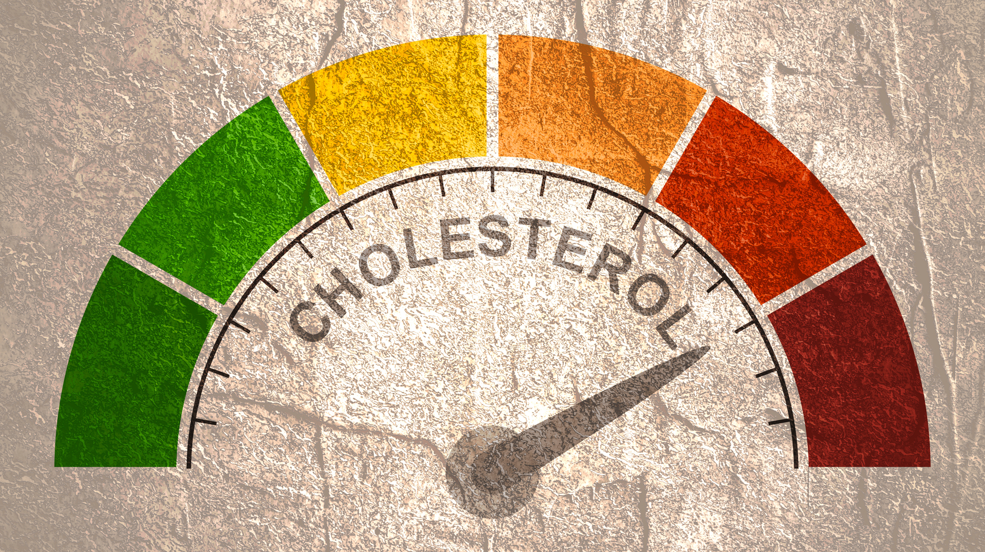 Adobe Stock 305614593 631cad18c0833