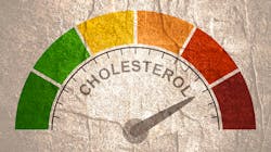 Adobe Stock 305614593 631cad18c0833 Adobe Stock 305614593 631cad18c0833