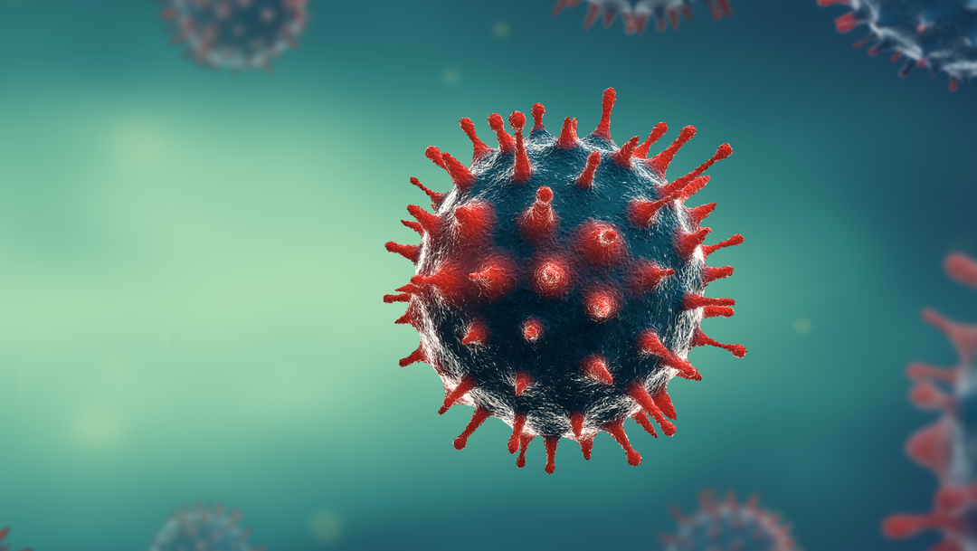 Adobe Stock 328953647 63248ce945fc7